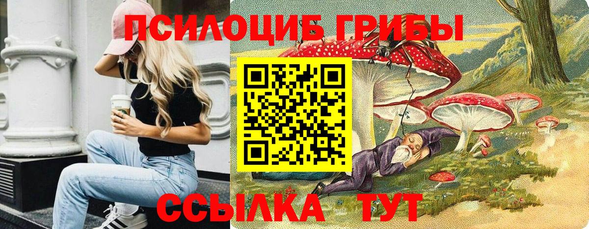 Ступино  Псилоцибиновые грибы Psilocybe  Вход с VPN  Галлюциногенные грибы мухоморы 